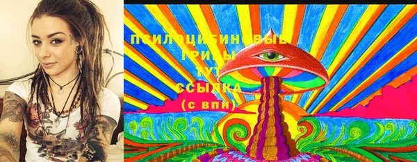 дживик Бикин