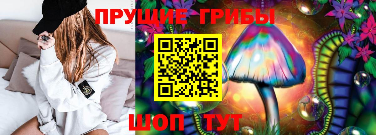 Псилоцибиновые грибы Cubensis Югорск